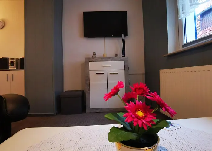 Ferienwohnung Aue